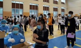 丰金自选餐厅最新爆料消息,独家揭秘神秘菜品背后的故事